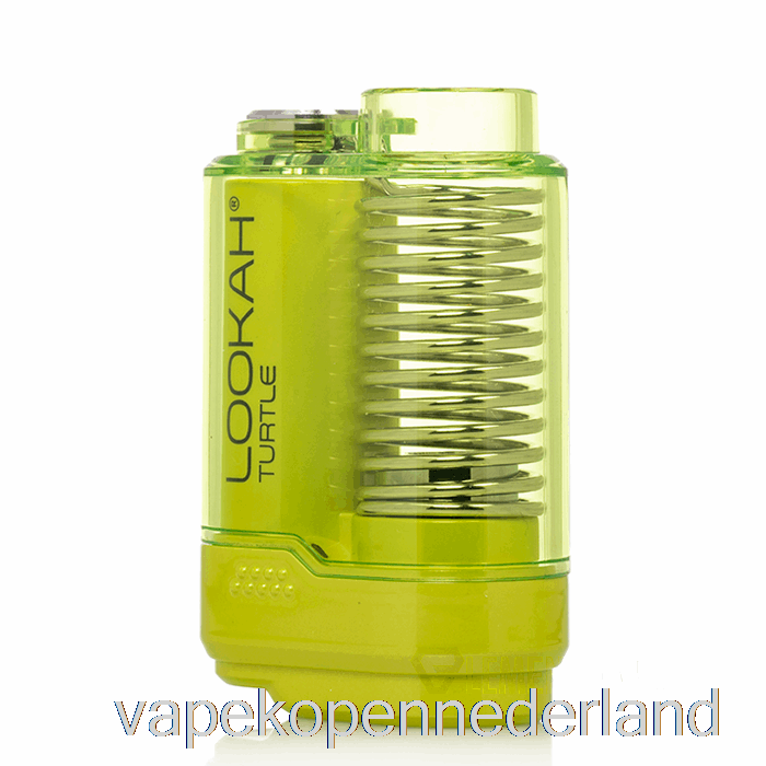 Elektronische Sigaret Vape Lookah Schildpad 510 Batterij Neon Groen